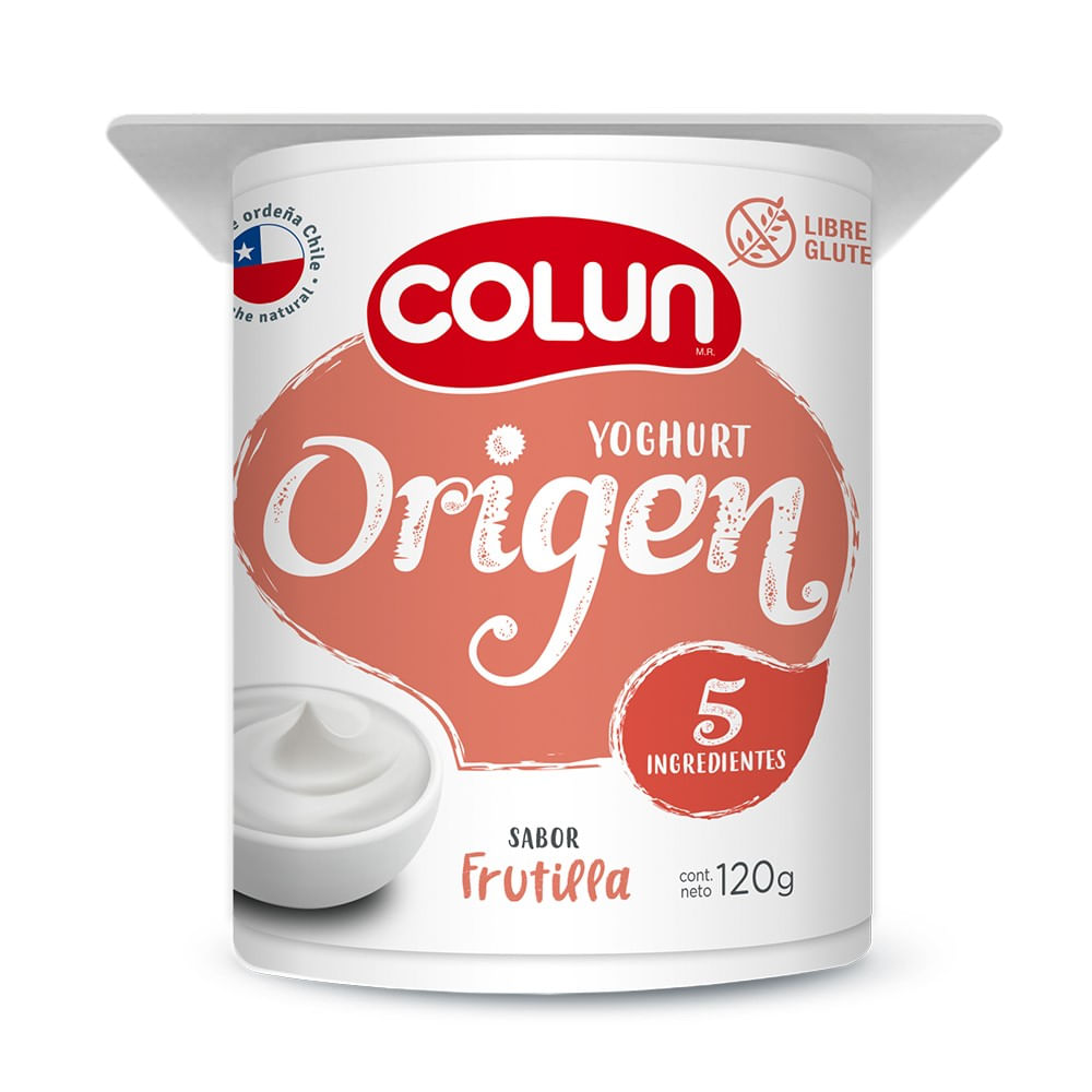 Yoghurt origen sabor frutilla